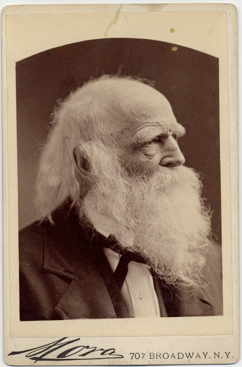 William Cullen Bryant (1794-1878), amerikansk digter, foto af Albert J Mora, New York (albumfoto) af American Photographer