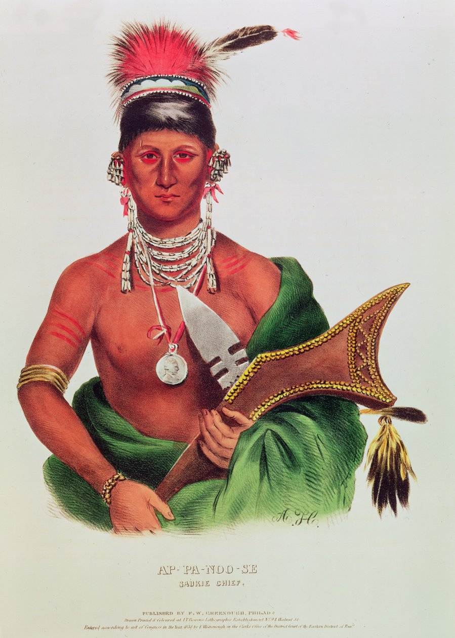 Ap-Pa-Noo-Se, Saukie-chef af American School