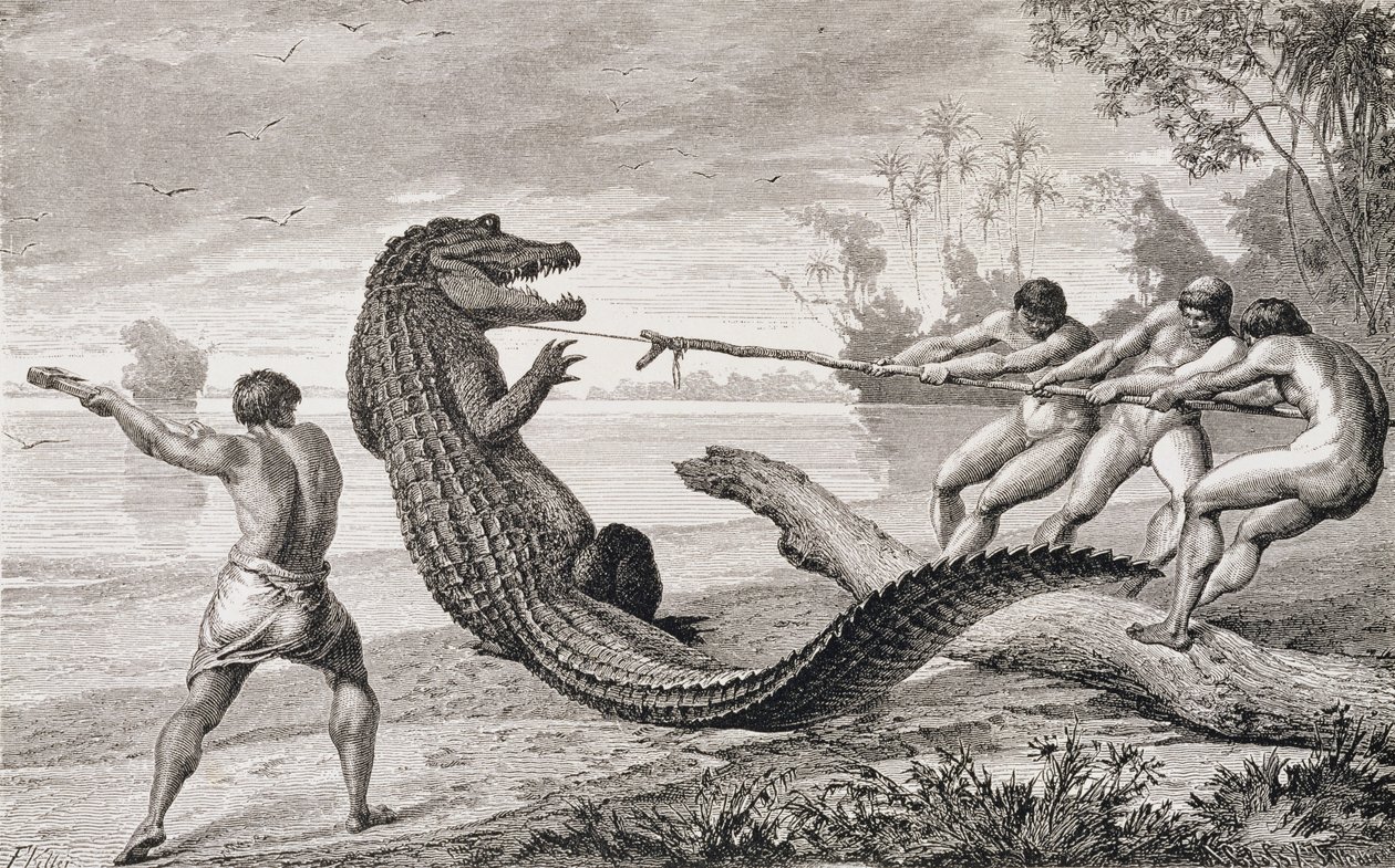 At fange en alligator med lasso, fra 