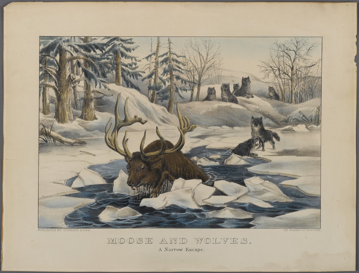 Moose and Wolves, A Narrow Escape, udgivet af Currier & Ives, New York (håndfarvet litho) af American School