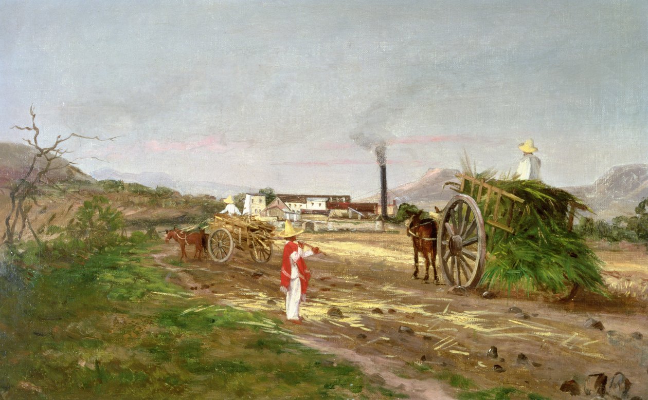 Bønder indsamler sukkerrør, Mellemamerika, ca. 1840 af American School