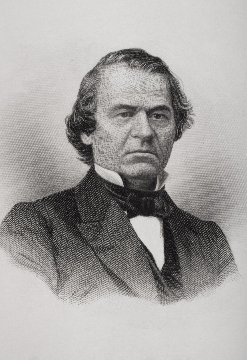 Portræt af Andrew Johnson (1808-75) af American School