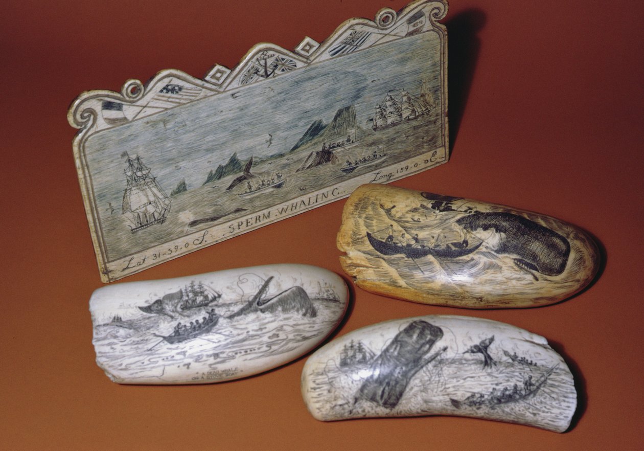 Hvalfangst scrimshaw (tand) af American School