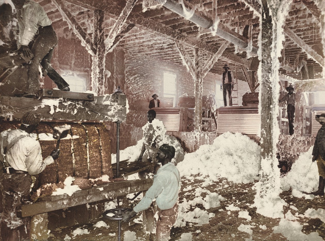 Mississippi Cotton Gin hos Dahomey af American 19th Century, Detroit Photographic Company