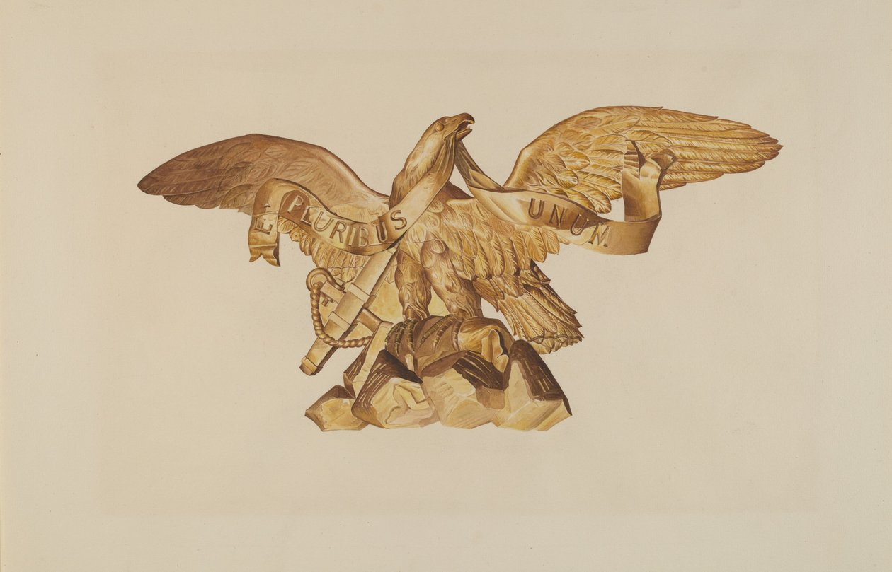Eagle fra USS Enterprise af American 20th Century