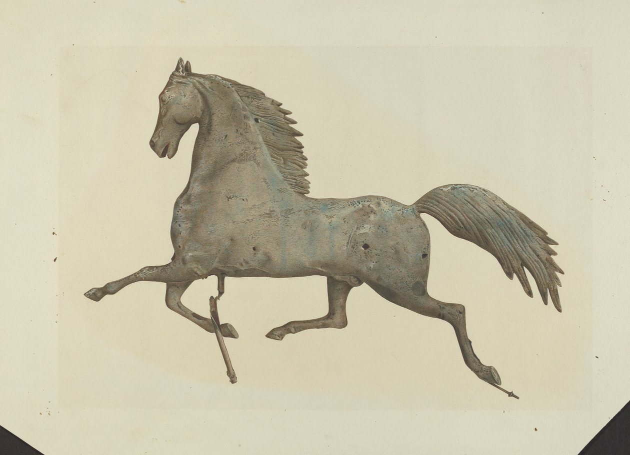 Hestevejrhane af American 20th Century
