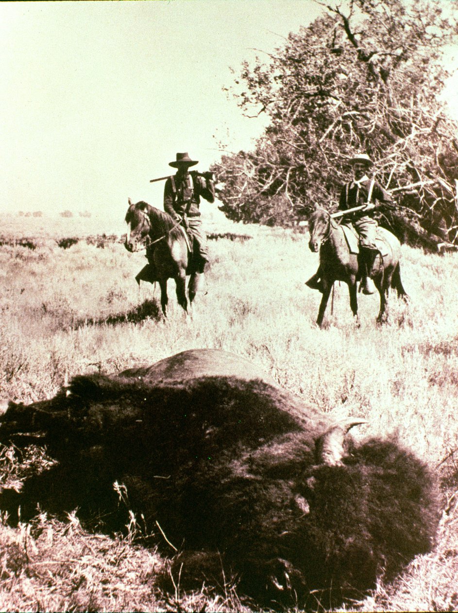 amerikanske bisonjægere af American Photographer