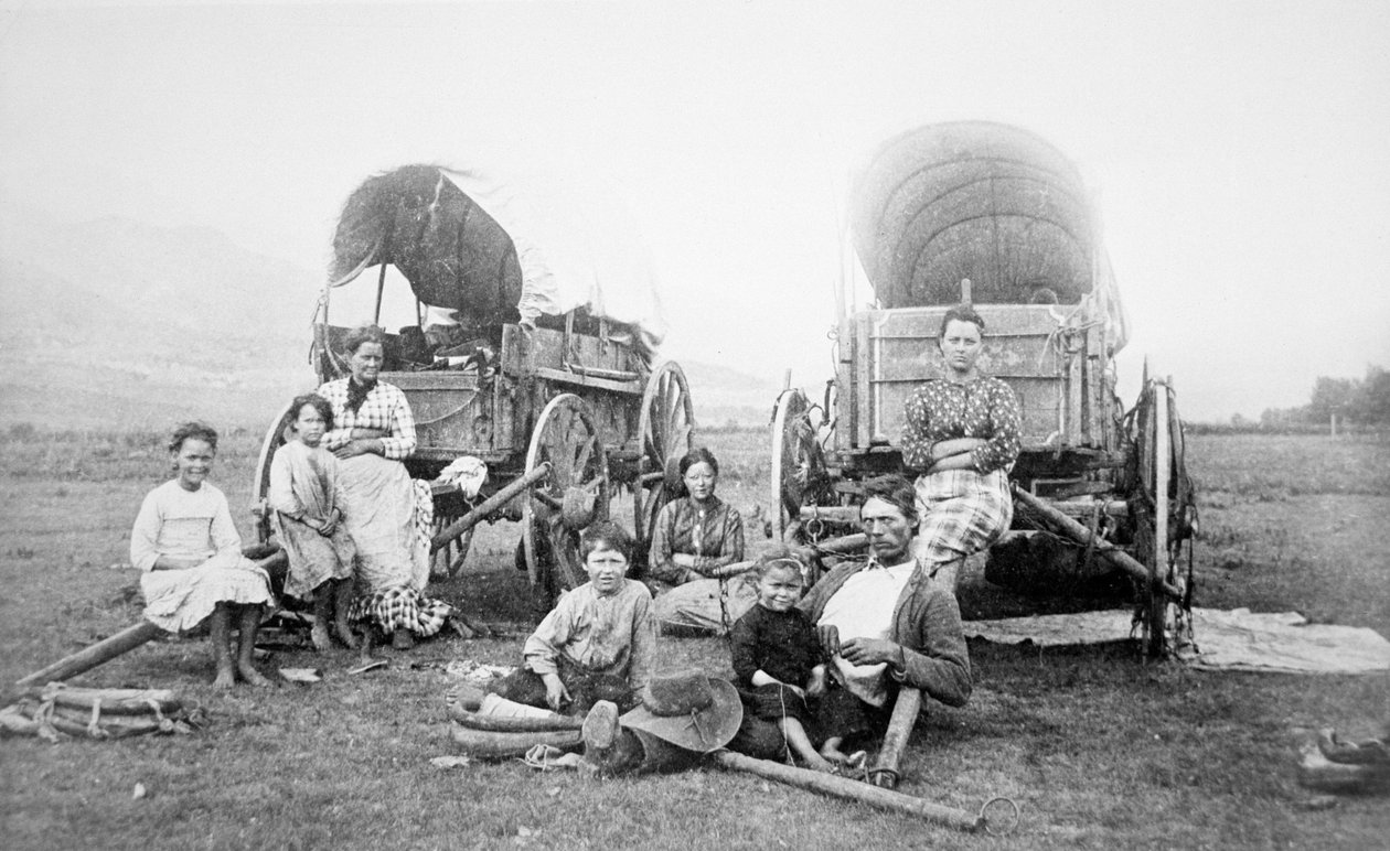 American Pioneer Family, ca. 1870 (s/h-billede) af American Photographer