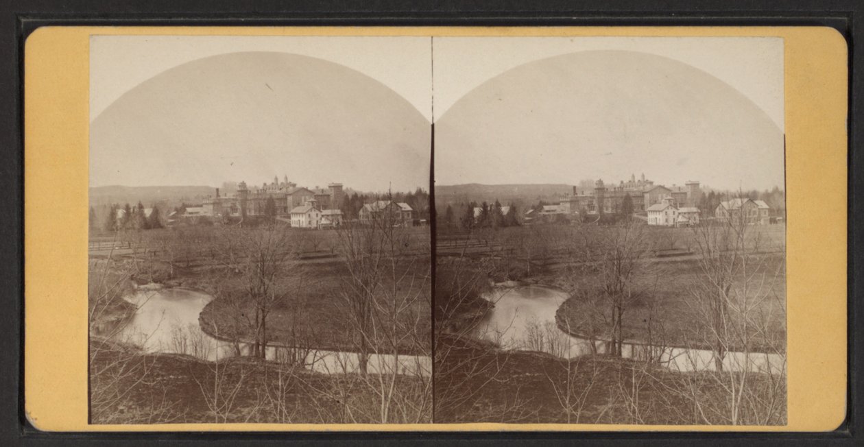 Fugleperspektiv af boligbygninger, ca. 1870 (s/h-billede) af American Photographer