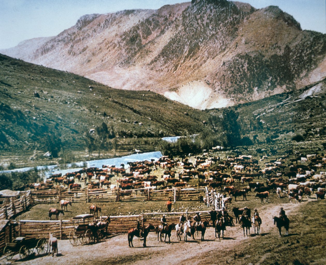 Cattle Ranch, Colorado af American Photographer