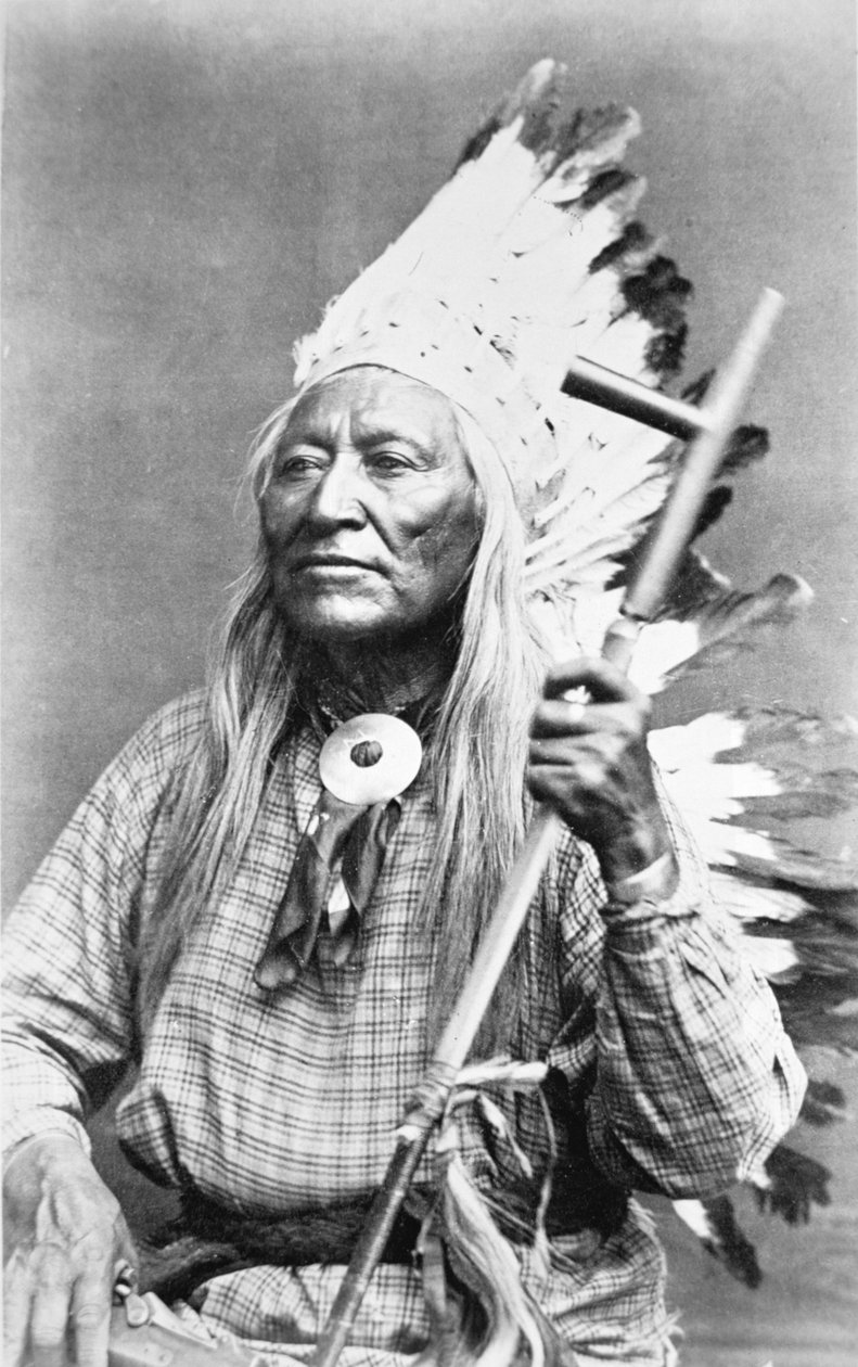 Chief Washakie (ca. 1804-1900) (s/h-billede) af American Photographer