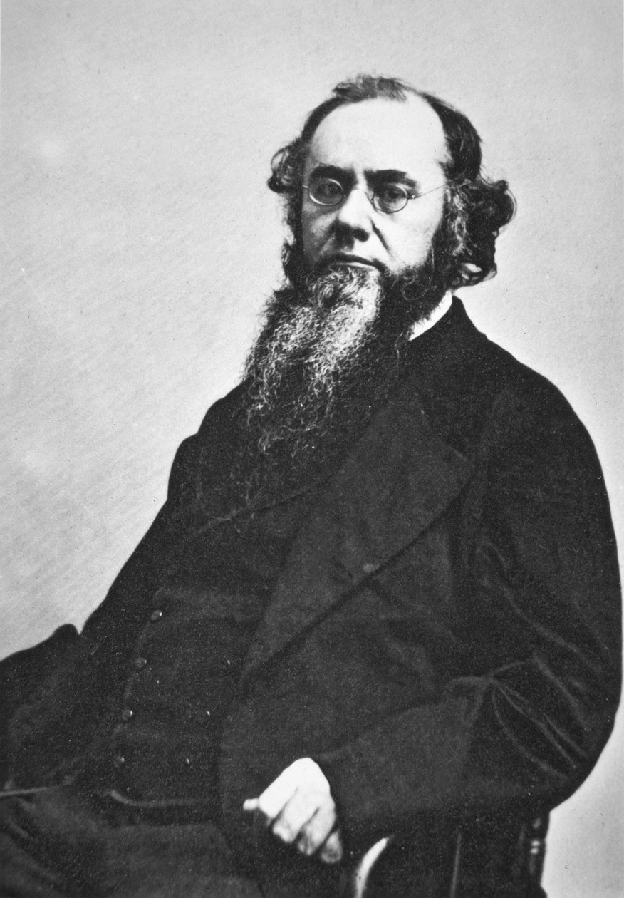 Edwin M. Stanton (1814-69) (s/hvid foto) af American Photographer
