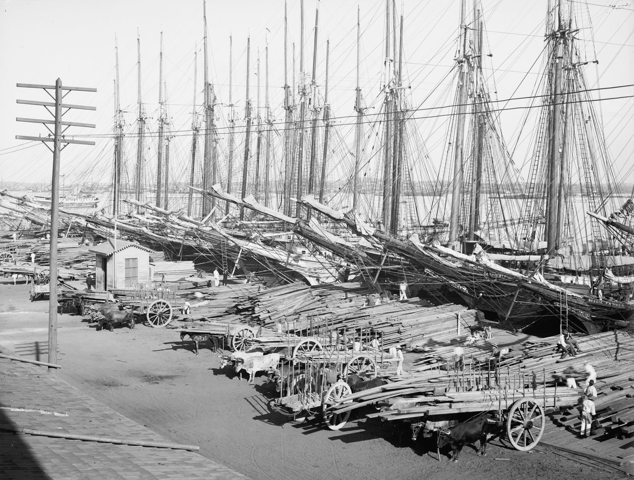Muelle Tallapiedras, Havana, ca. 1904 (s/h-foto) af American Photographer