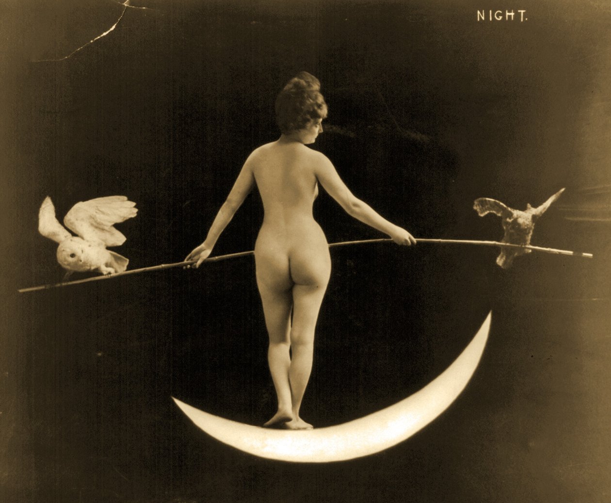 Nat, ca. 1895 af American Photographer