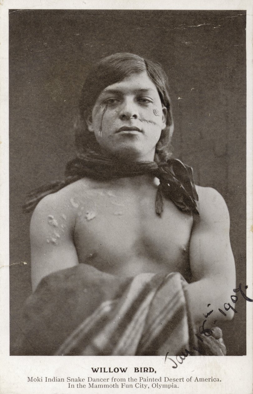 Willow Bird - Moki-indiansk slangedanser fra den malede ørken i Amerika (s/h-foto) af American Photographer