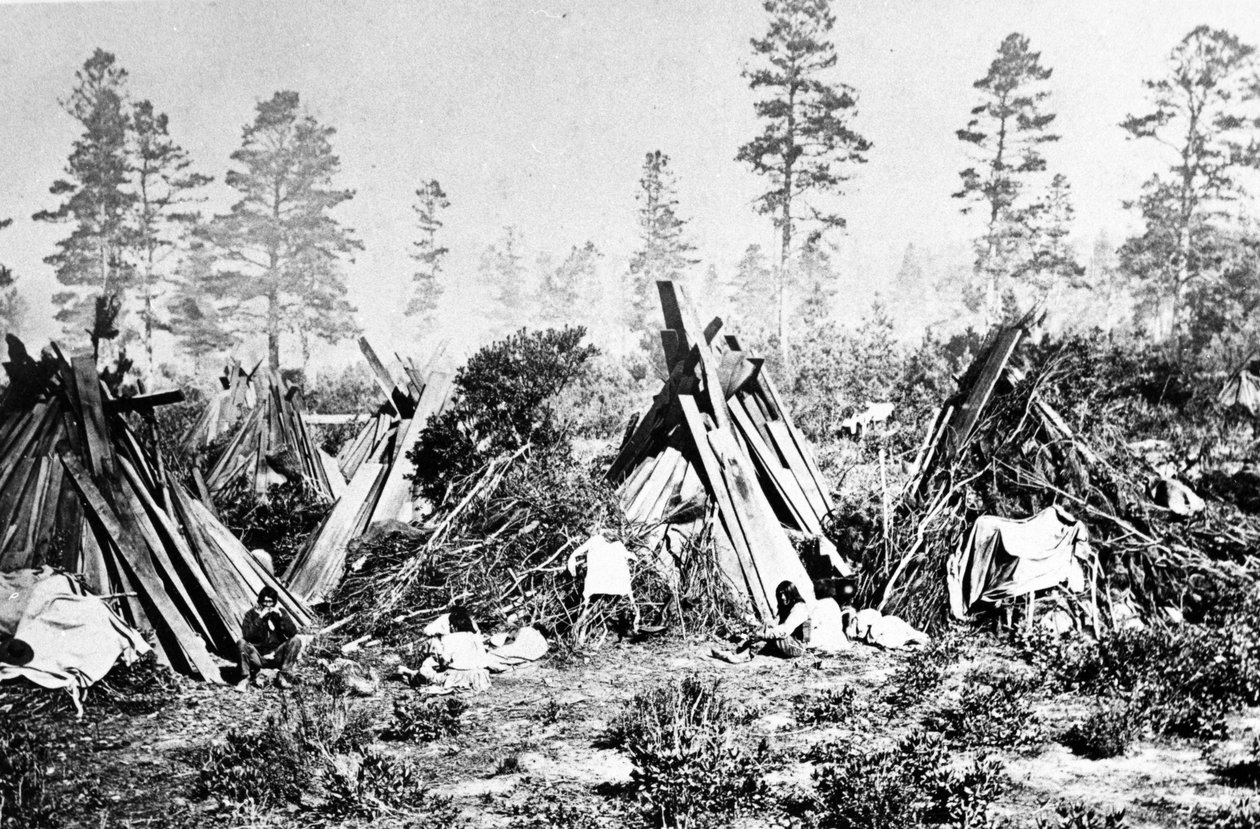 Yosemite Indian Huts, ca. 1870