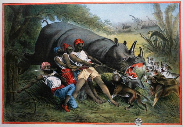 En næsehornsjagt (chromolitho) af American School