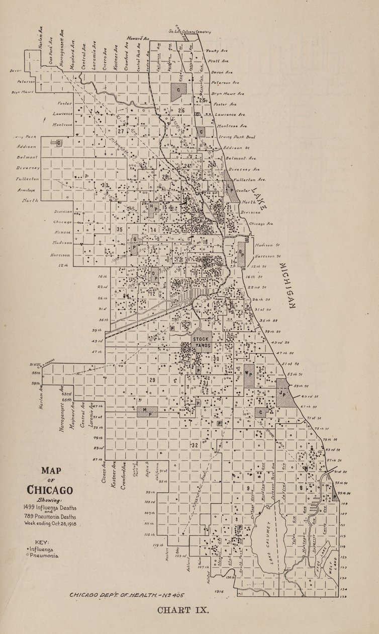 En rapport om en epidemi af influenza i byen Chicago i efteråret 1918 af American School