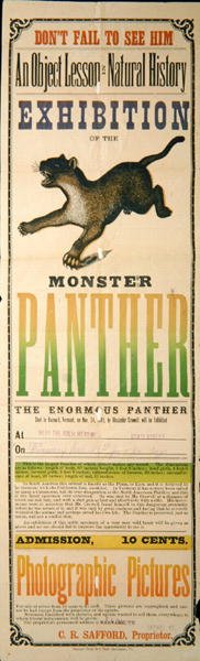 Annonce for udstillingen af Monster Panther af American School