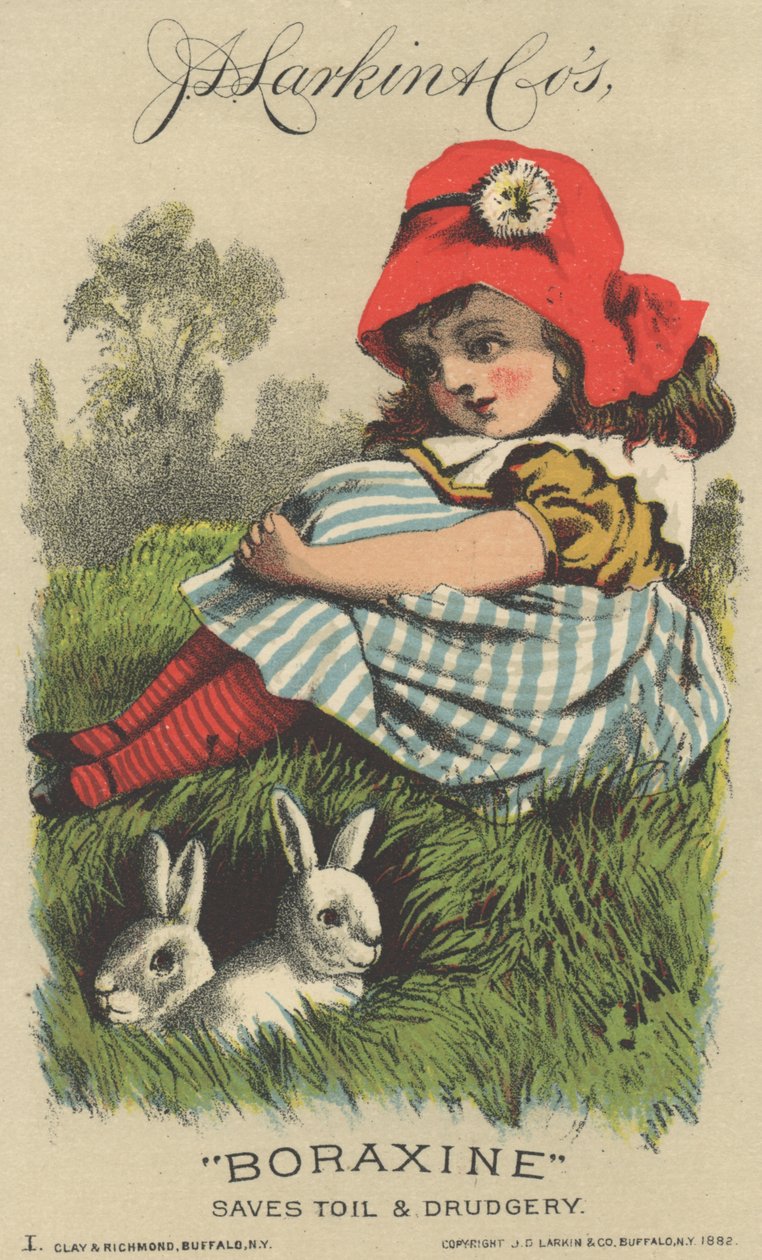 Annonce for J. D. Larkin & Cos Boraxine, 1882 af American School
