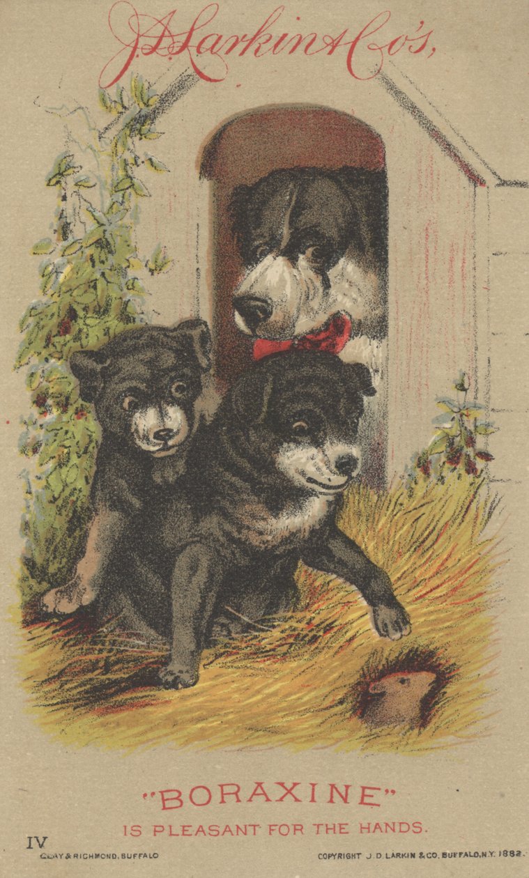 Annonce for J. D. Larkin & Cos Boraxine, 1882 af American School