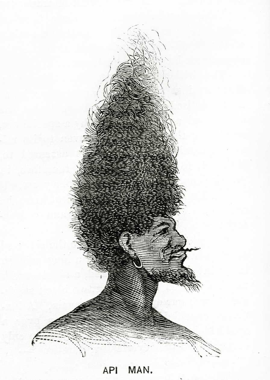 Api Man, illustration fra Appletons Journal, 4. maj 1872 af American School