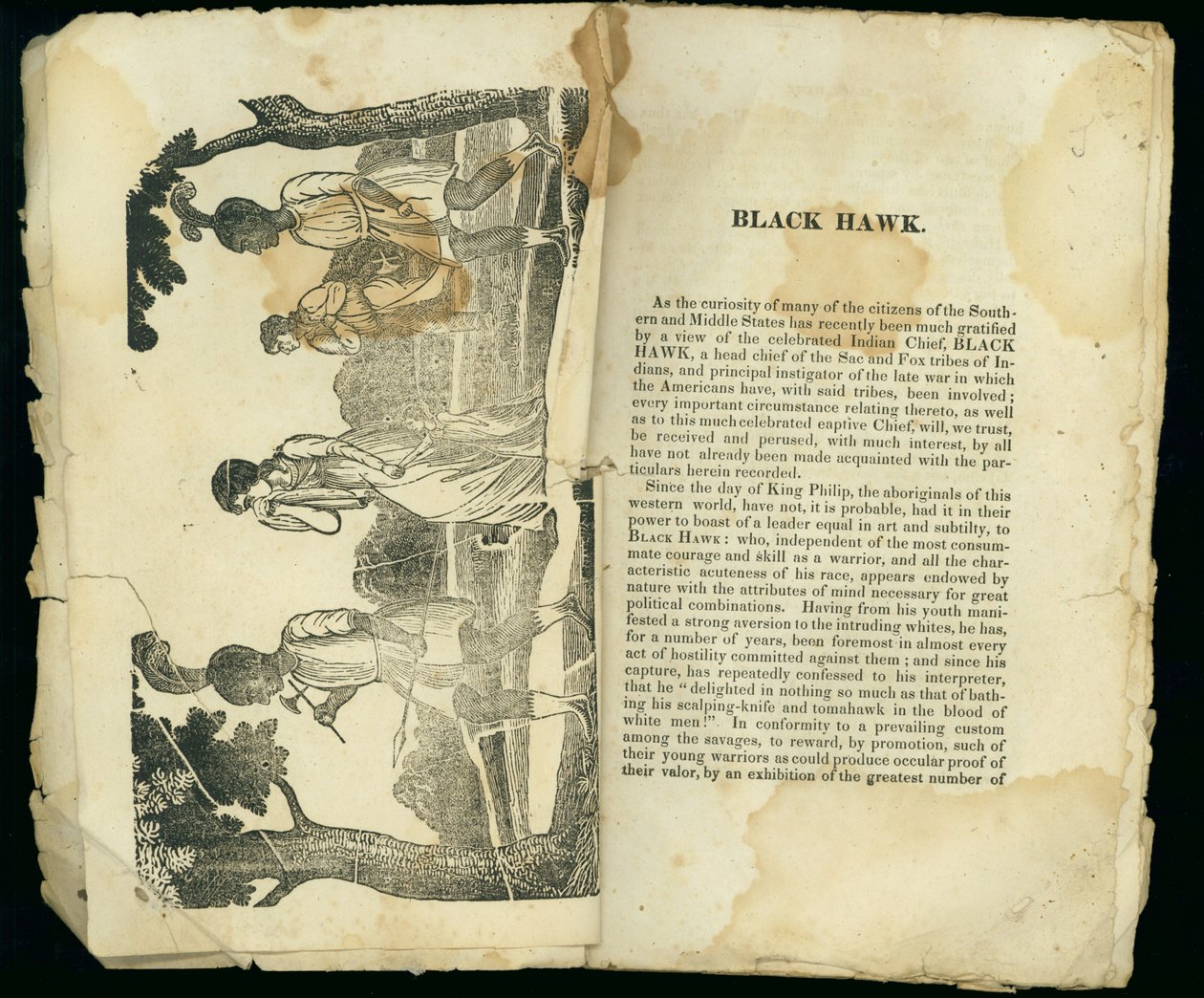 Black Hawk, fra Fortælling om Mrs. Jane Lewis