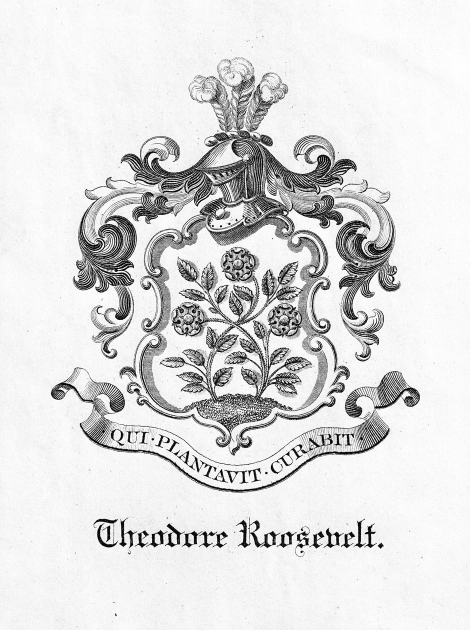 Bogplade af præsident Theodore Roosevelt (1858-1919) (tryk) af American School