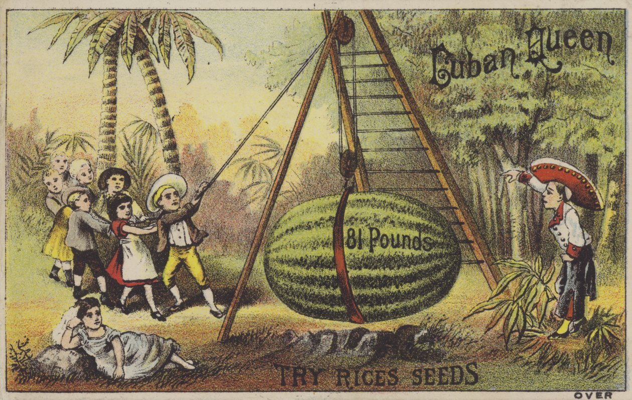 Børn, der opfostrer en enorm vandmellon (chromolitho) af American School