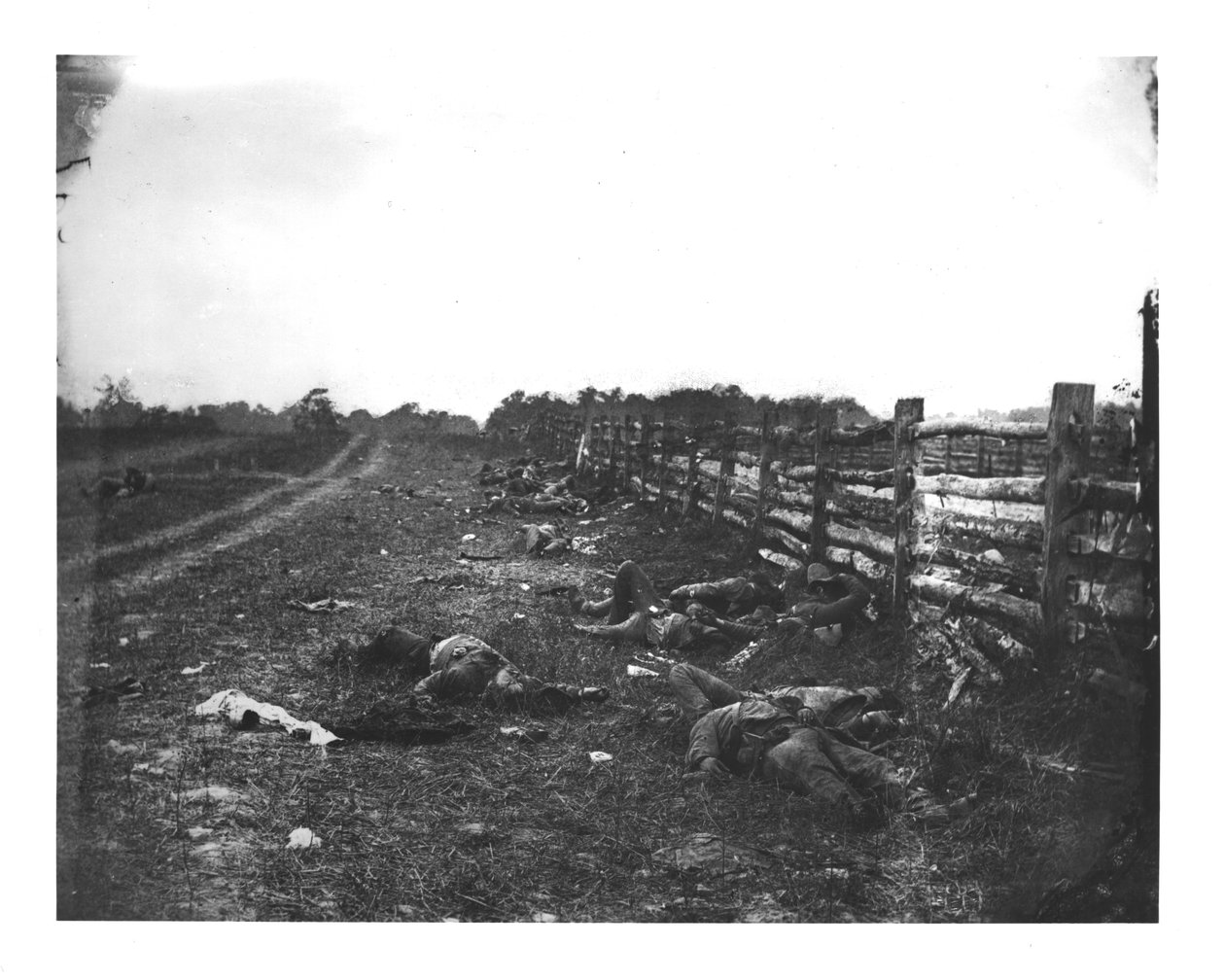 Konfødererede døde langs vestsiden af Hagerstown Pike, Slaget ved Antietam, 19. september 1862 af American School