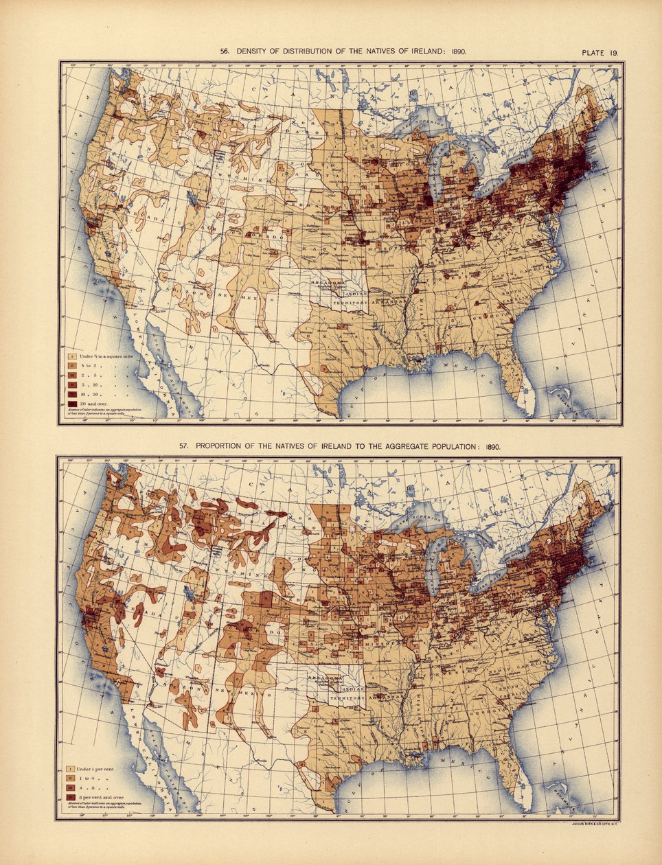 Density of distribution of the natives of Ireland and their proportion to the aggregate population, 1898dani af American School