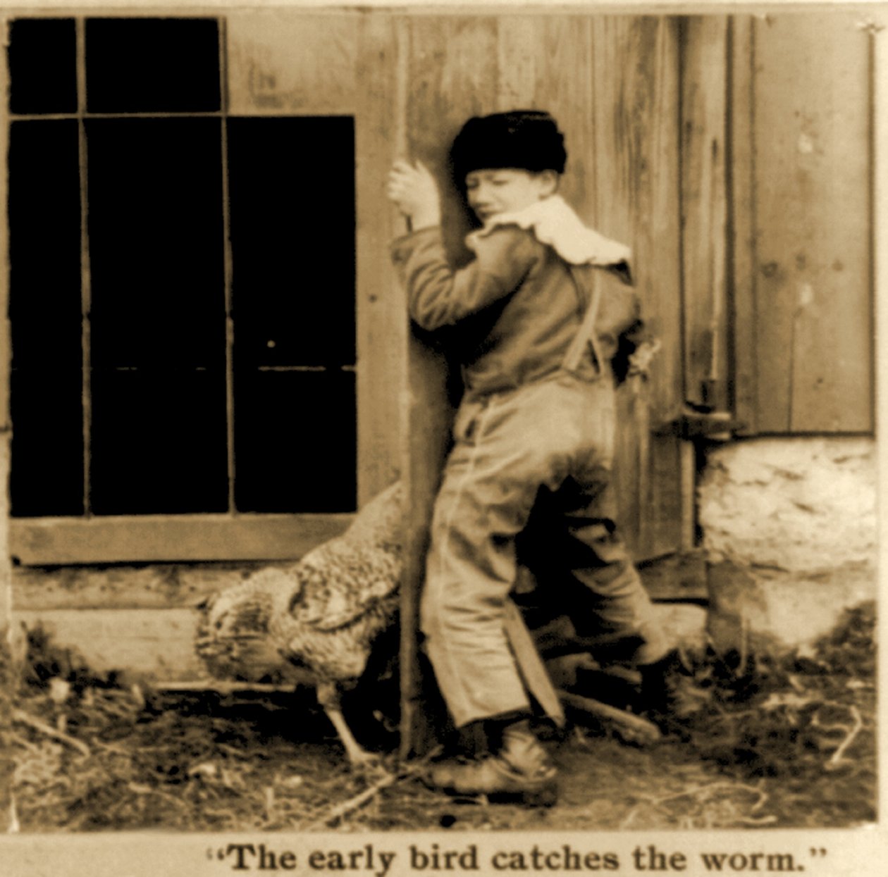 Detalje af "The early bird catches the worm" stereoskopisk kort ca. 1900 (s/h foto) af American School