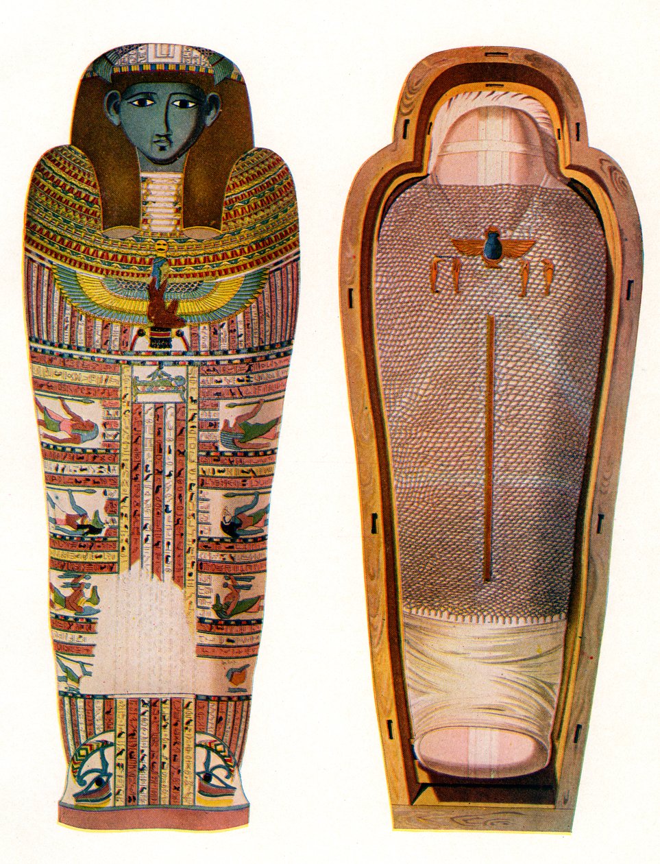 Egyptisk Mumie og Sarkofag af American School