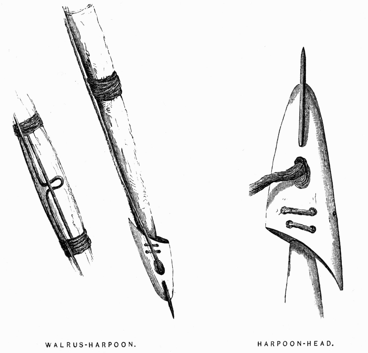 Eskimo Hunting Tools: Harpuner - Elisha Kent Kane, Arctic Explorations in the Years 1853-1855, vol. 1, s. 412, Philadelphia af American School