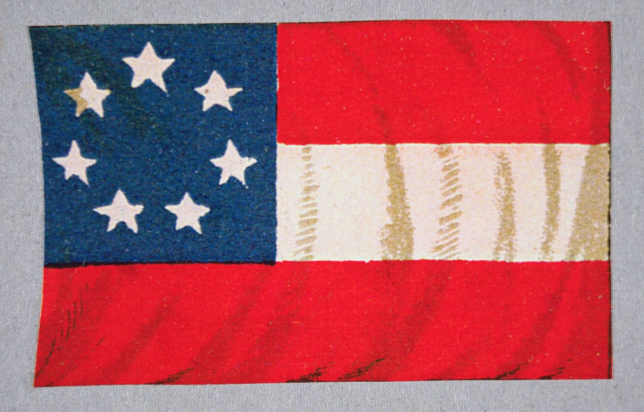Amerikas konfødererede staters flag (farve litho) af American School