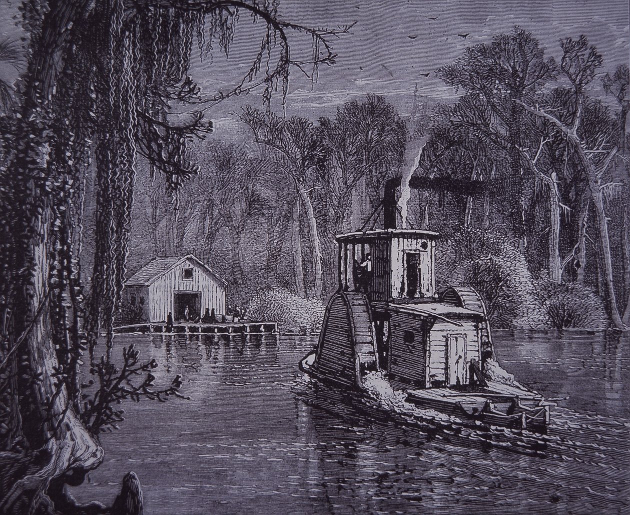 Florida Everglades scene af American School