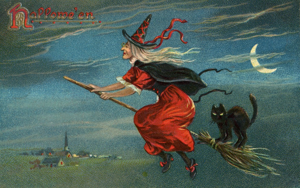 Halloween-heks og sort kat rider på kost om natten af American School