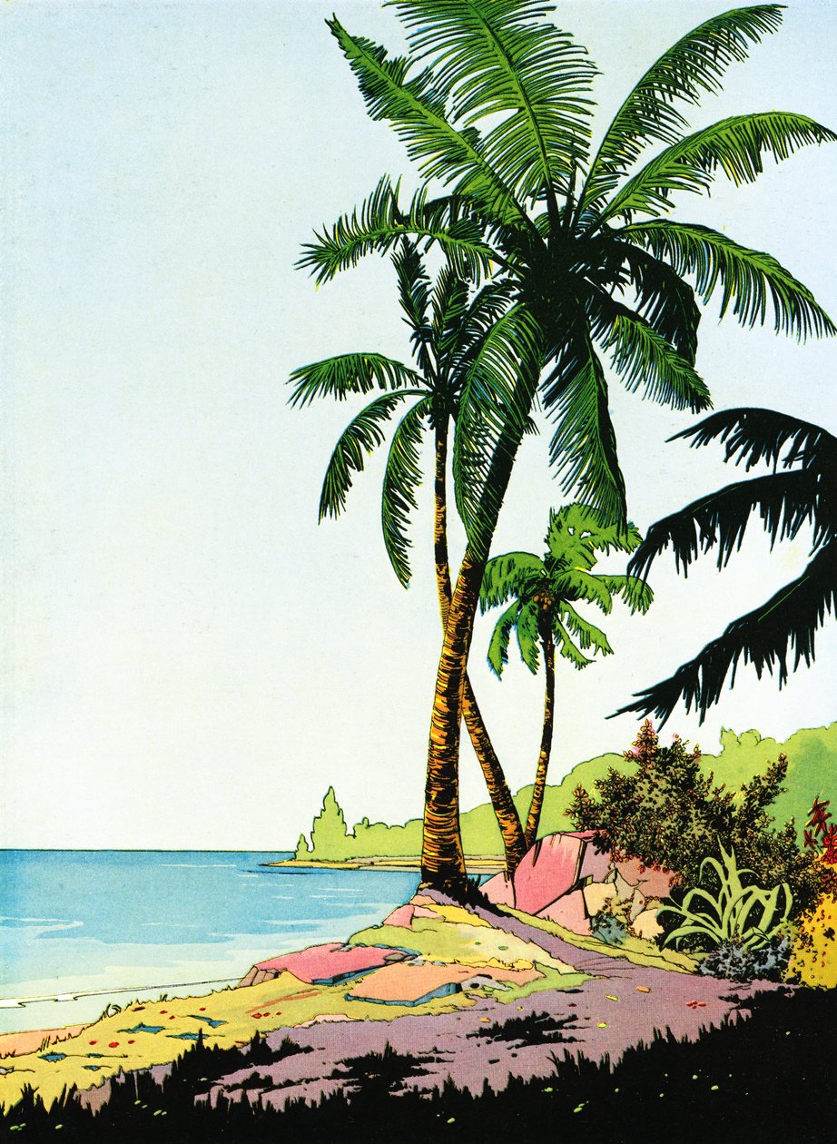 Illustration af strandparadis med palmer af American School