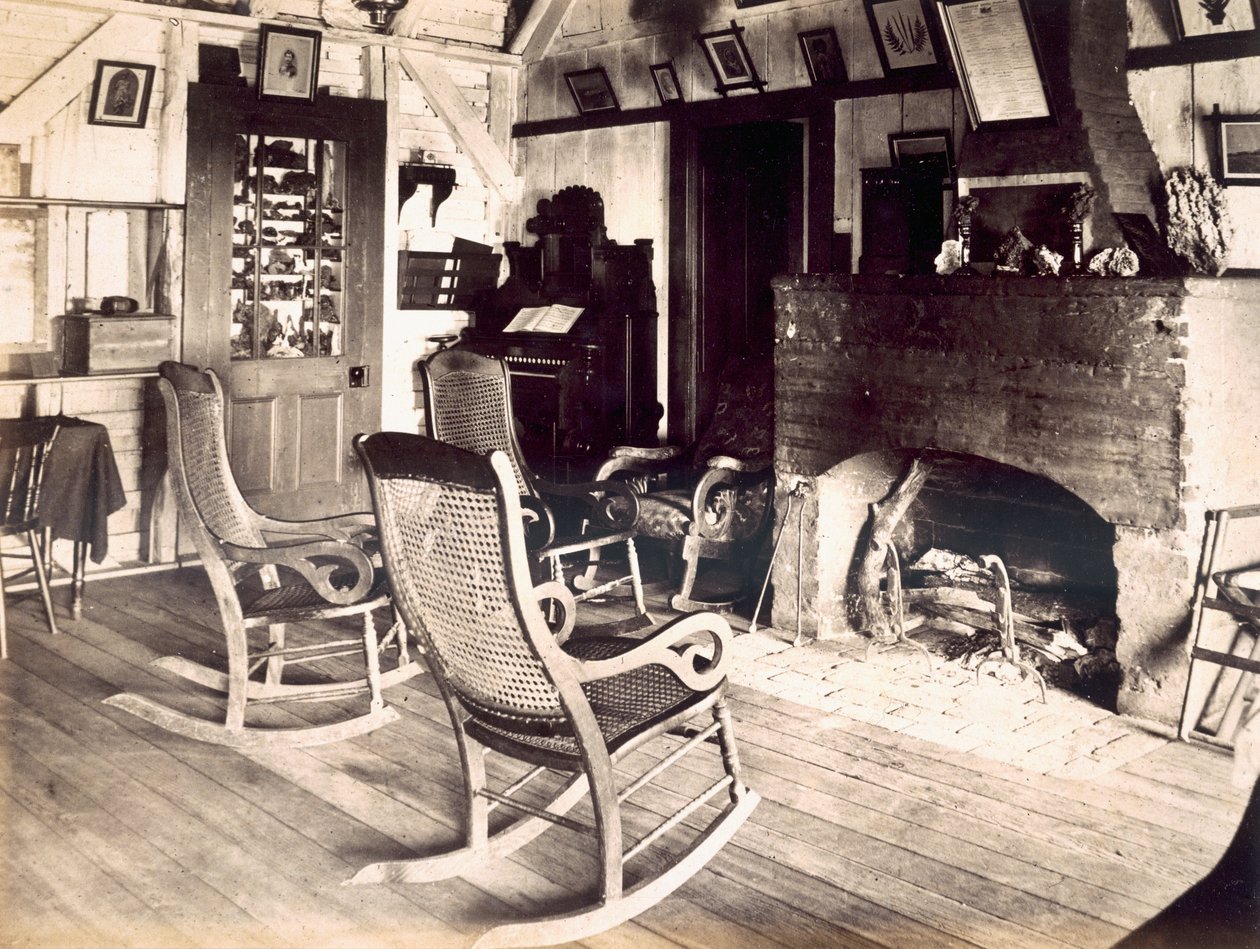 Interiør af en amerikansk træhytte, ca. 1880