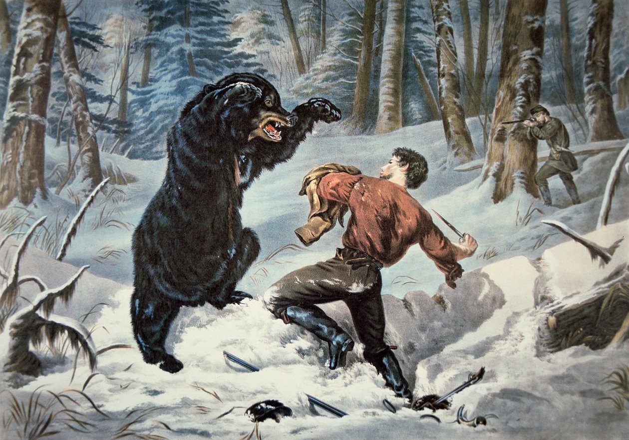 Jedediah Smith (1799-1831) bliver angrebet af en Grizzlybjørn, ca. 1861 (farve litho) af American School