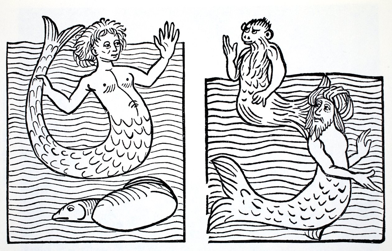 Mermaids and Mermen, fra The World Guide to Gnomes, Fairies, Elves and Other Little People af Thomas Keightley (1789-1872) Udgivet 1880, (BW Engraving) af American School