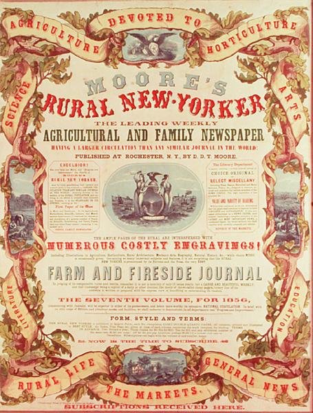 Moores landlige New-Yorker af American School