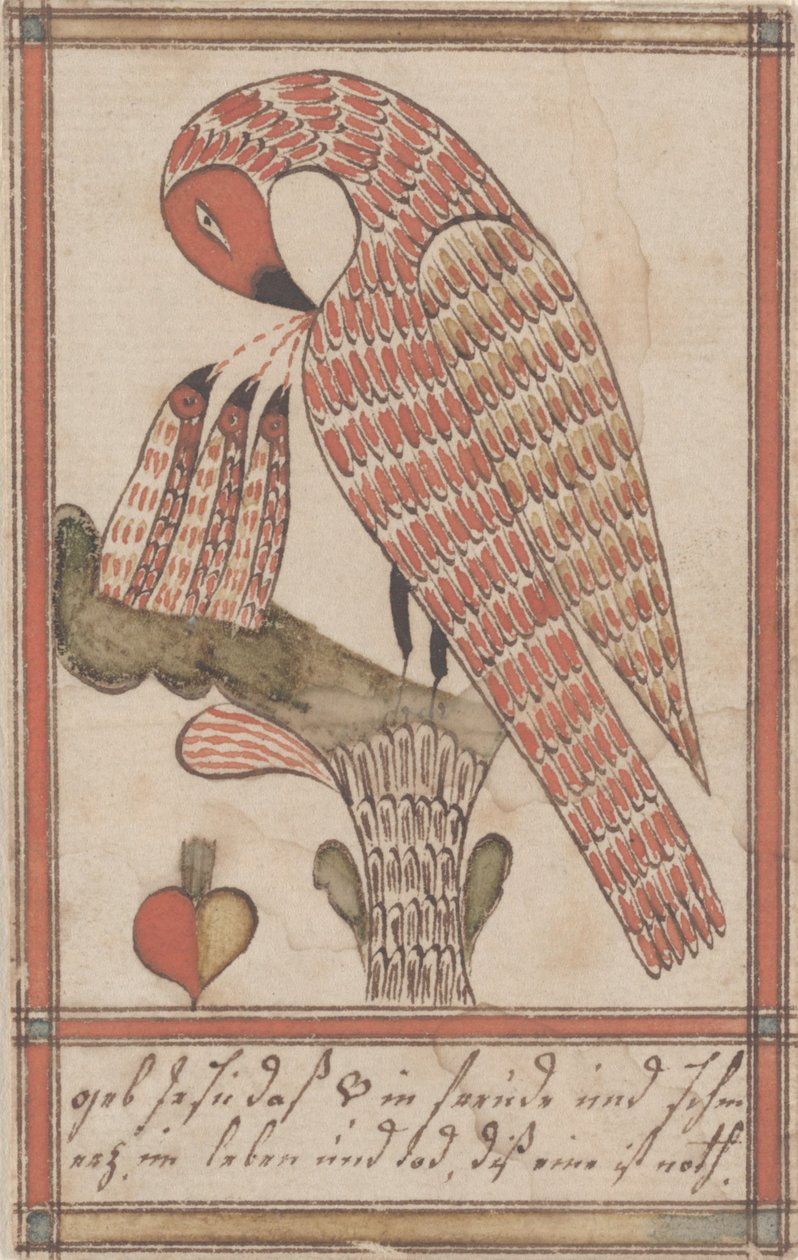 Pelican in its Piety, ca. 1800 (blæk & wc på papir) af American School