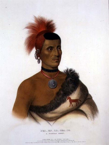 Pes-Ke-Le-Cha-Co, A Pawnee Chief, udgivet af J. T. Bowen (1801-c.1856) 1841 (farvelitografi) af American School