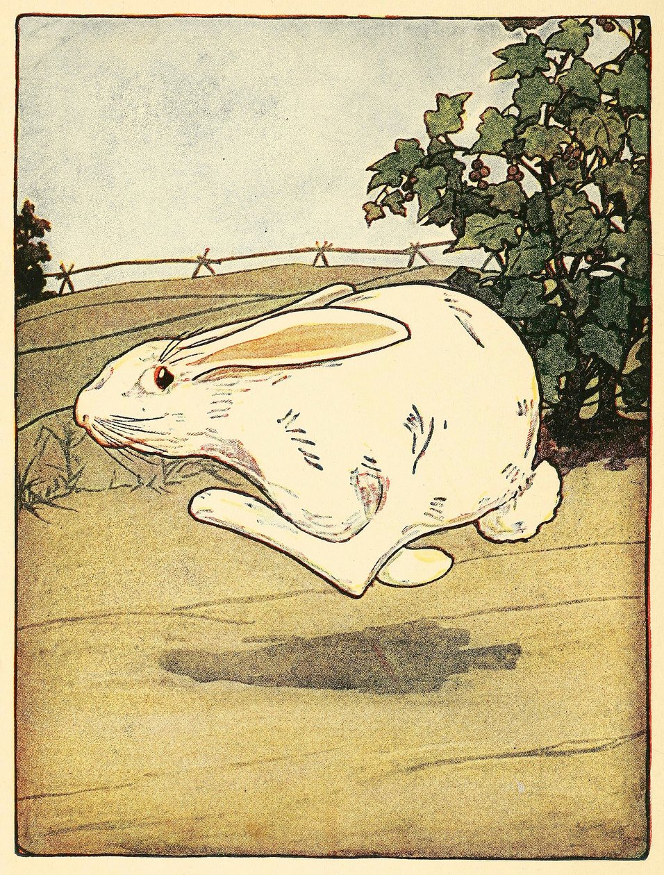 Peter holdt aldrig op med at løbe, fra The Tale of Peter Rabbit, pub. 1916 farvelitografi, 1916. af American School