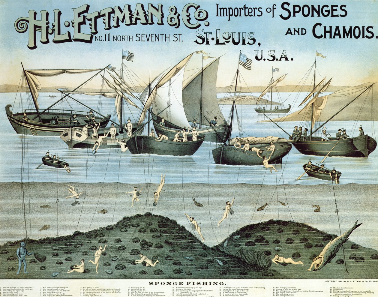 Plakatreklame H.L. Ettman & Co., Importører af svampe og vaskeskind, 1897 af American School