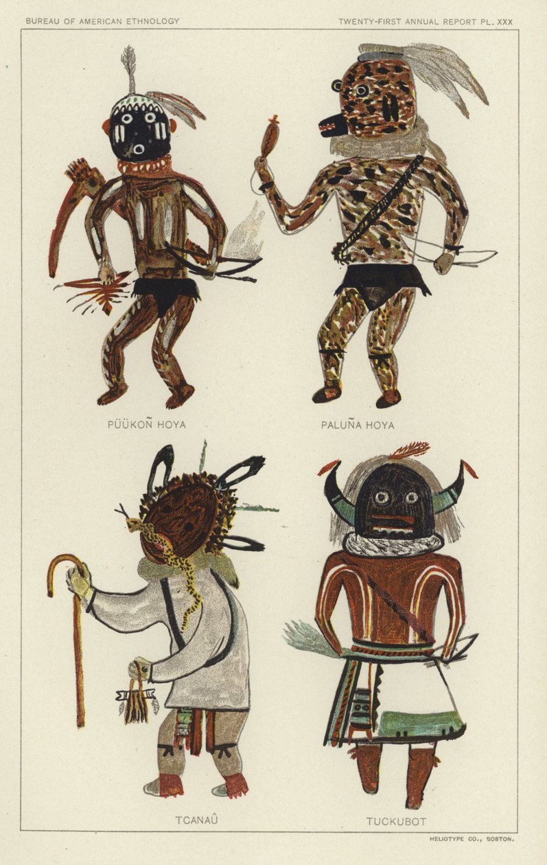 Puukon Hoya, Paluna Hoya, Tcanau, Tuckubot (farvelitografi) af American School