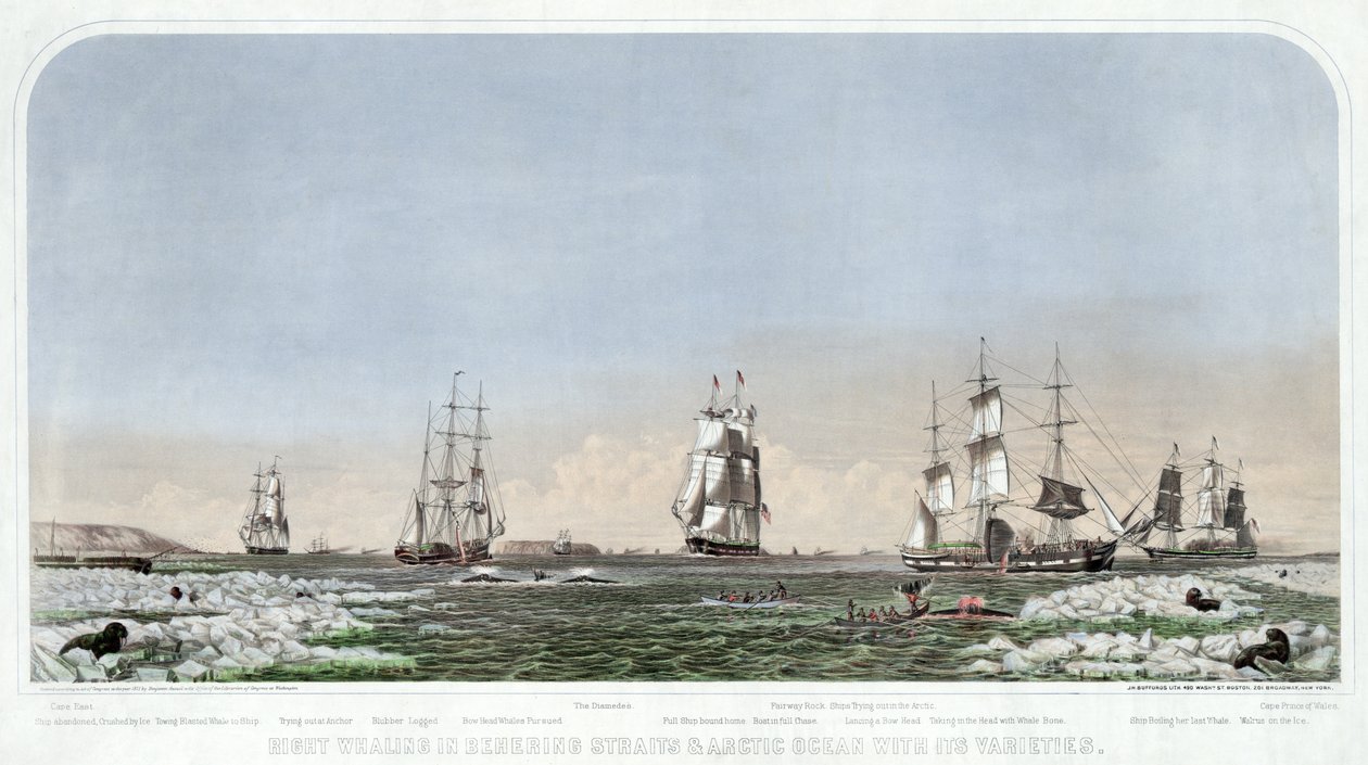 Right Whaling i Behering Straits og det arktiske hav med dets varianter, pub. 1871. af American School