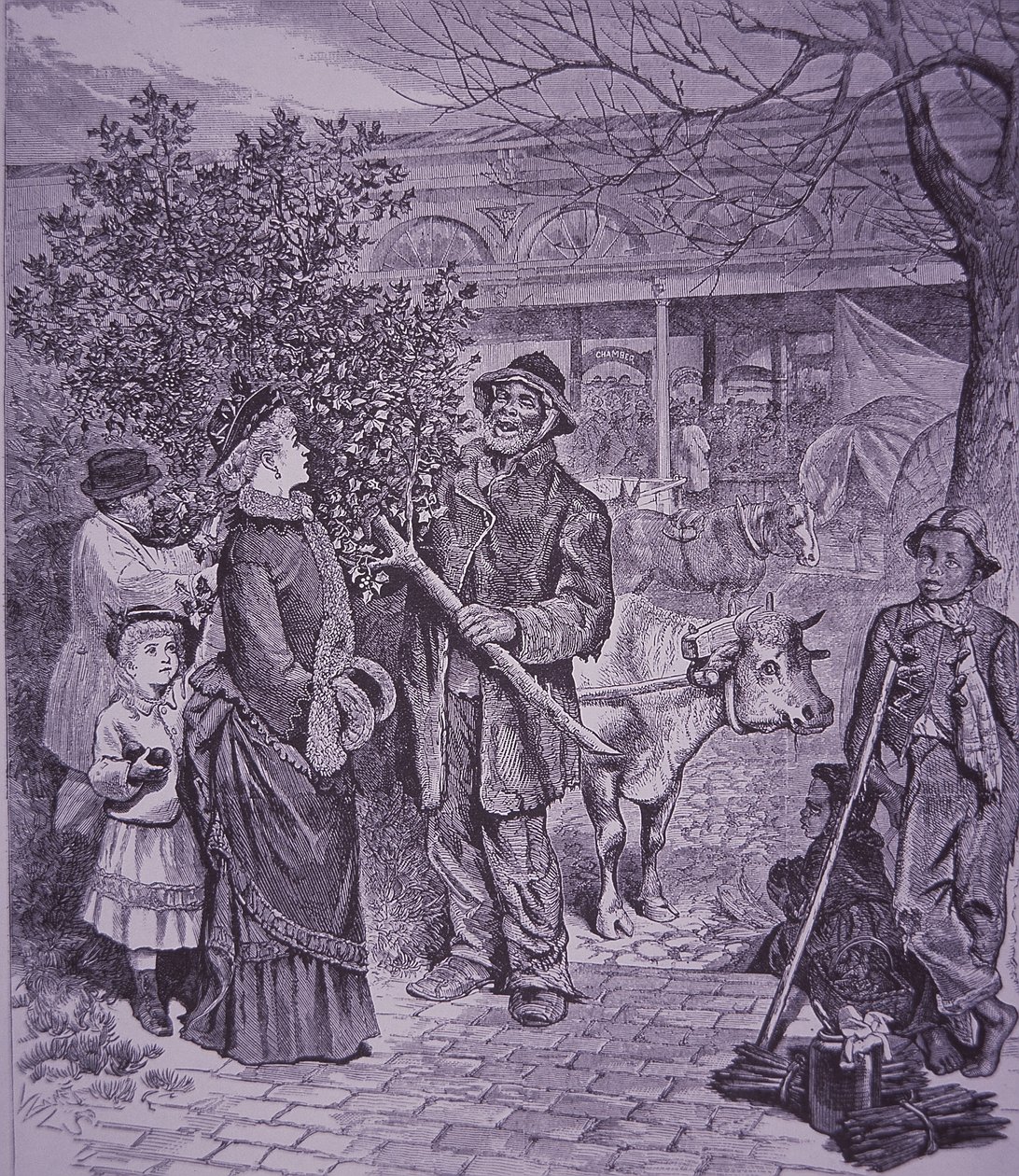 Sælger juletræer i Richmond, Virginia af American School