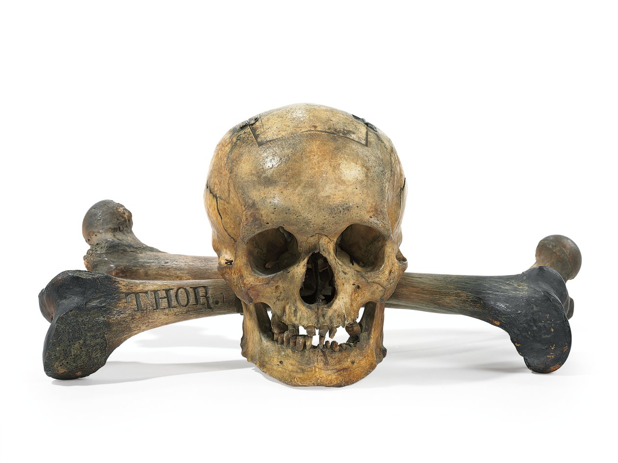 Skull-and-Bones stemmeurn (knogle) af American School